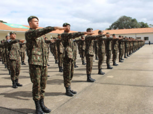 Leia mais sobre o artigo Quais São as Academias Militares do Brasil?